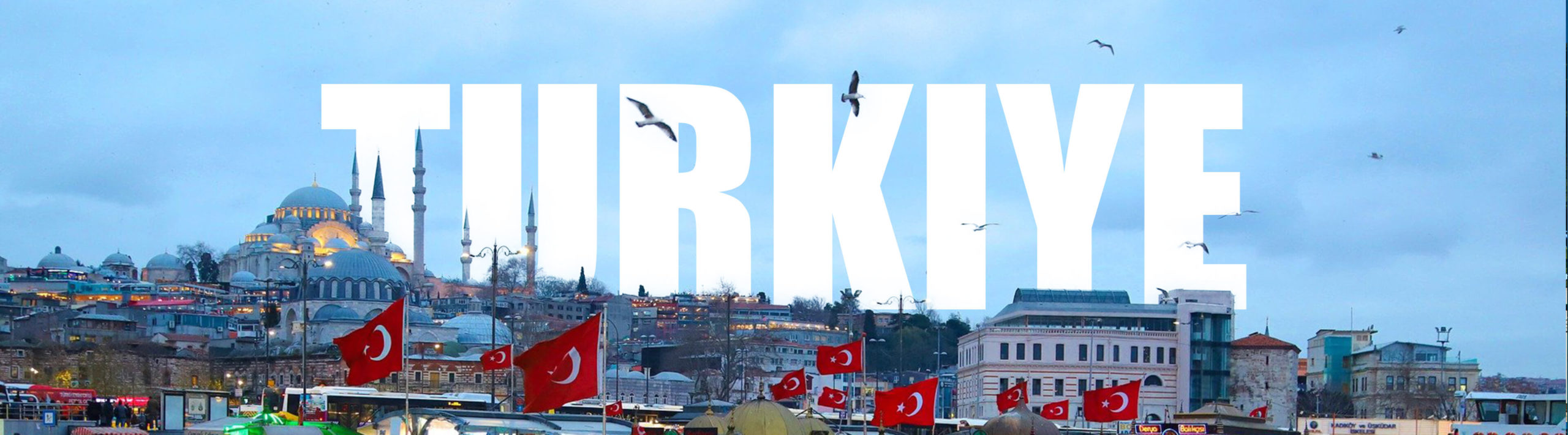turkiye-aml-cft-global-facility