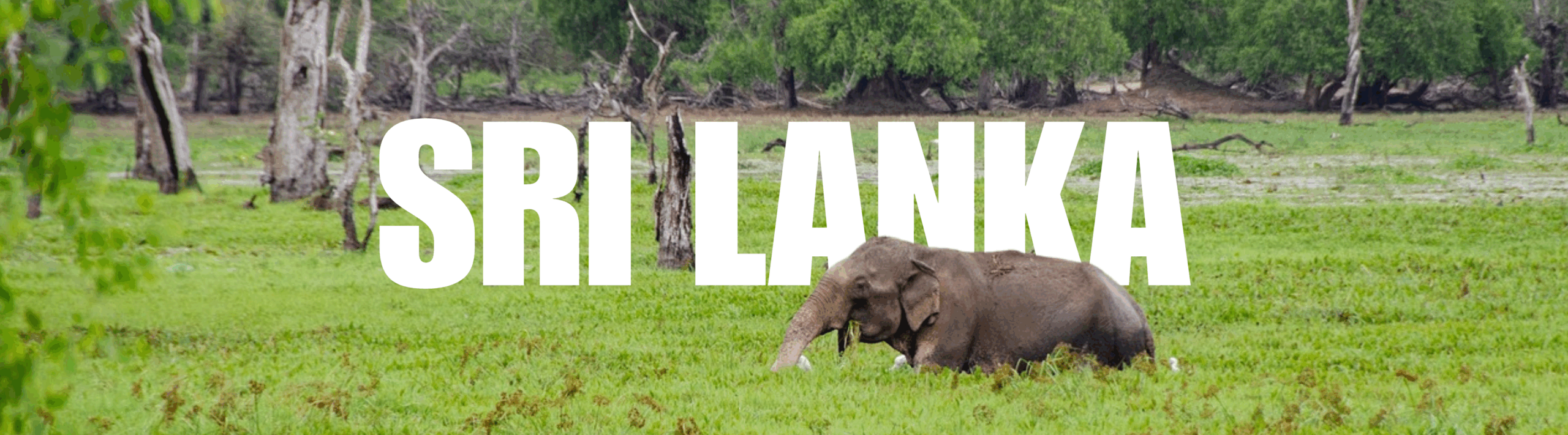 sri-lanka-eu-global-facility
