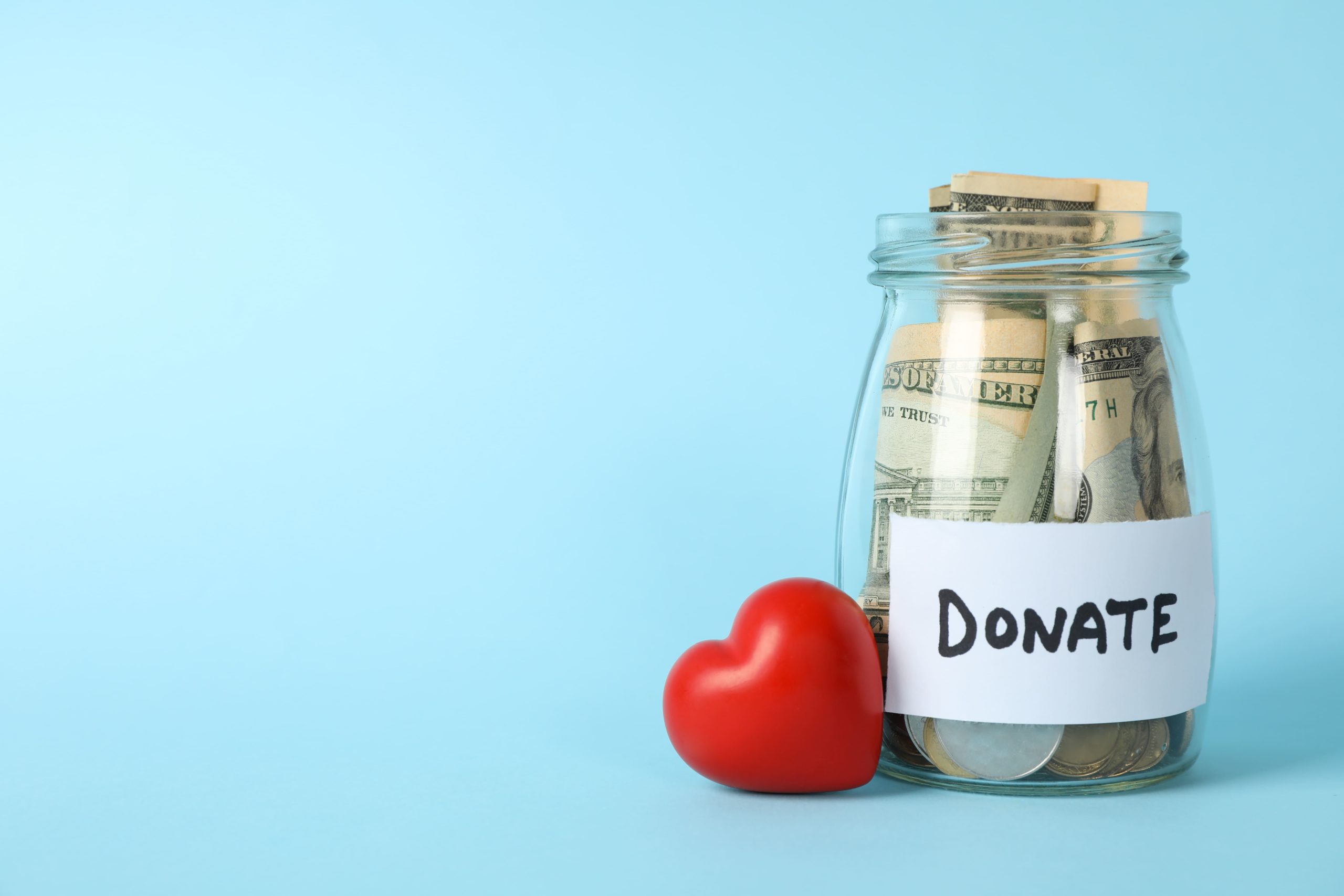 charity donation ngo npo